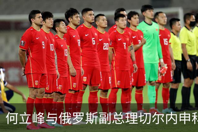 何立峰与俄罗斯副总理切尔内申科共同主持召开中俄总理定期会晤委员会第三十次会议