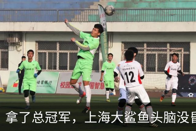拿了总冠军，上海大鲨鱼头脑没昏