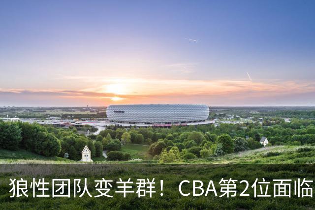 狼性团队变羊群！CBA第2位面临下课主帅曝光，发布会怒喷70%球员不在线，却说自己问心无愧！评论区一边倒
