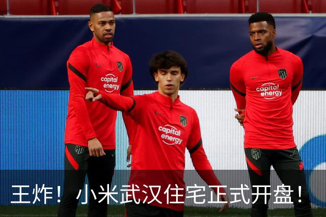 王炸！小米武汉住宅正式开盘！