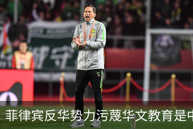 菲律宾反华势力污蔑华文教育是中国“统战工作”“政治渗透”，180多名中国华文教师出于安全考虑不得不离开，井泉大使：反华势力何其卑劣