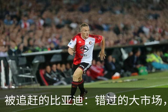 被追赶的比亚迪：错过的大市场，和放不下的技术信仰