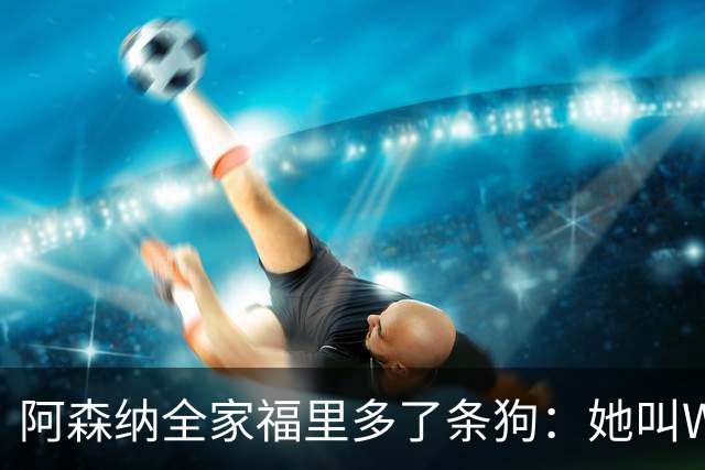 阿森纳全家福里多了条狗：她叫Win，2023年就进了训练基地