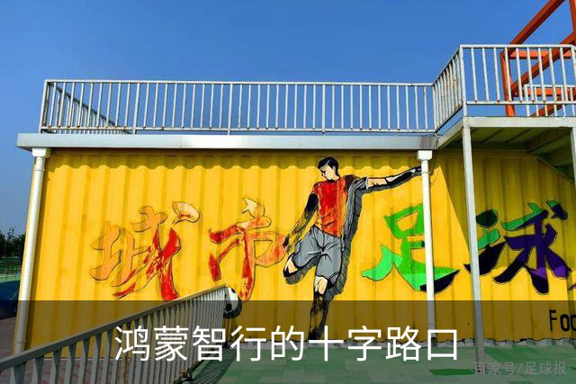 鸿蒙智行的十字路口
