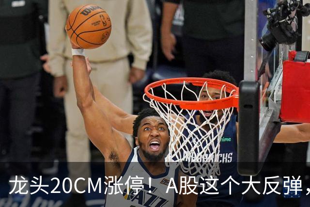 龙头20CM涨停！A股这个大反弹，太提气了！