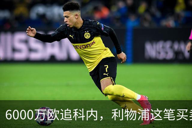 6000万欧追科内，利物浦这笔买卖被指是错误