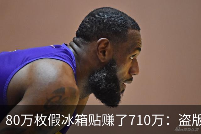 80万枚假冰箱贴赚了710万：盗版可恨，但正版的价格就无辜吗？